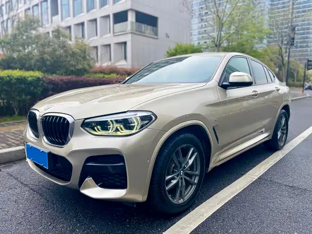 Bmw Bmw X4 Bmw X4 2019 Xdrive25i M Sports Package — фото