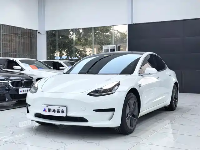 Tesla Model 3 Model 3 2019 Standard Range Rear Drive Upgraded Version — фото
