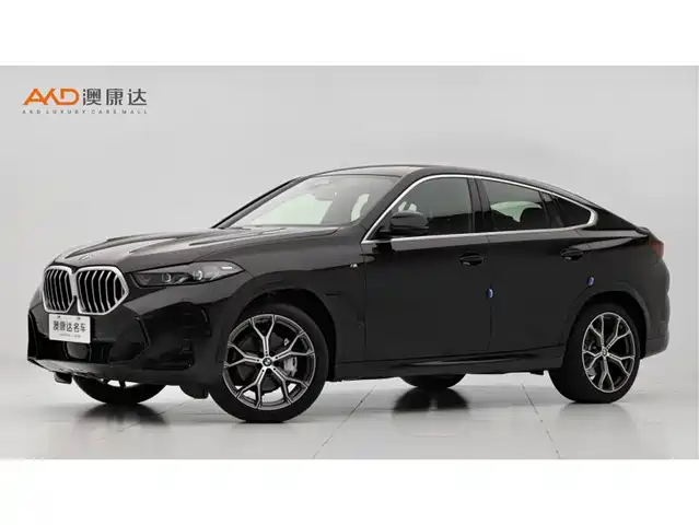 Bmw Bmw X6 Bmw X6 2023 Xdrive30i M Sports Package — фото