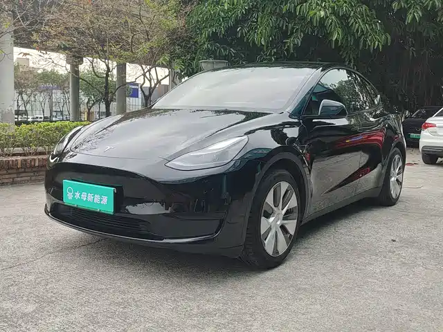 Tesla Model Y Model Y 2022 Rear-Wheel Drive Version