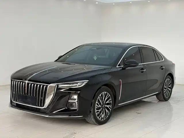 Red Flag Hongqi H5 Hongqi H5 2024 2.0t Automatic Zhilianqichang Edition — фото