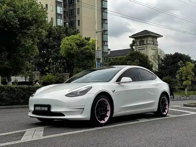 Tesla Model 3 Model 3 2021 Facelift Standard Range Rear Drive Upgraded Version 3d1 — фото