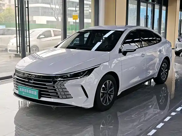 Byd Destroyer 05 Destroyer 05 2024 Honor Edition Dm-I 55km Luxury Type