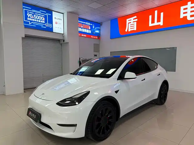 Tesla Model Y Model Y 2021 Long-Range All-Wheel Drive Version — фото