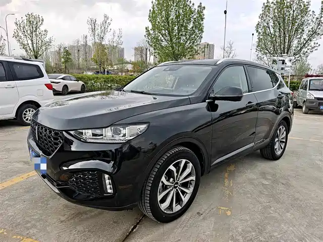 Wei Brand Wei Brand Vv6 Wei brand VV6 2018 2.0T two-wheel drive luxury model National V — фото