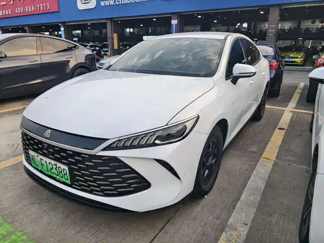 Byd Qin Plus Qin Plus 2025 Dm-I Smart Driving Version 55km Leading Model