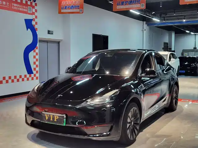 Tesla Model Y Model Y 2023 Rear-Wheel Drive Version — фото