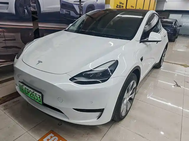 Tesla Model Y Model Y 2022 Rear-Wheel Drive Version — фото