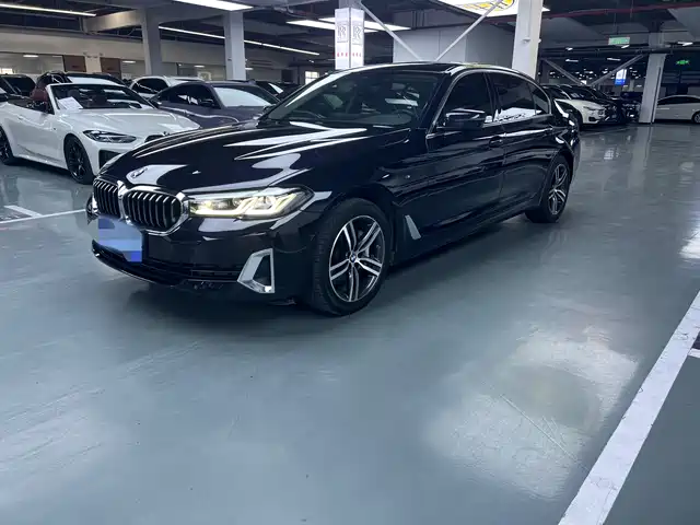 Bmw Bmw 5 Series Bmw 5 Series 2021 Facelift 530li Leading Model Luxury Package — фото