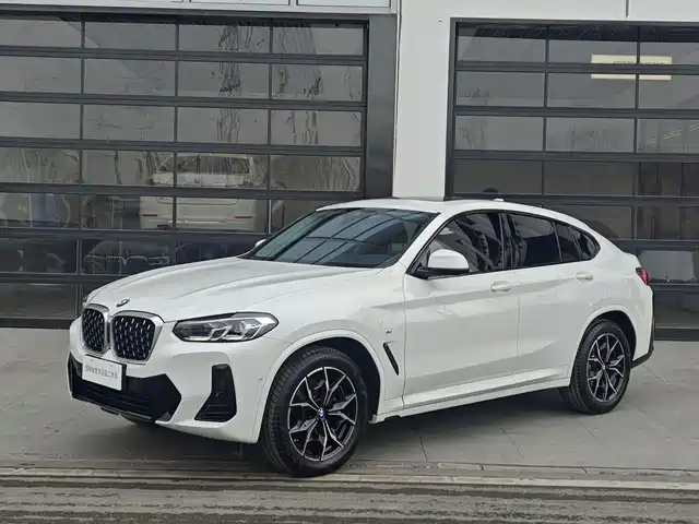 Bmw Bmw X4 Bmw X4 2022 Xdrive 25i M Sports Package — фото