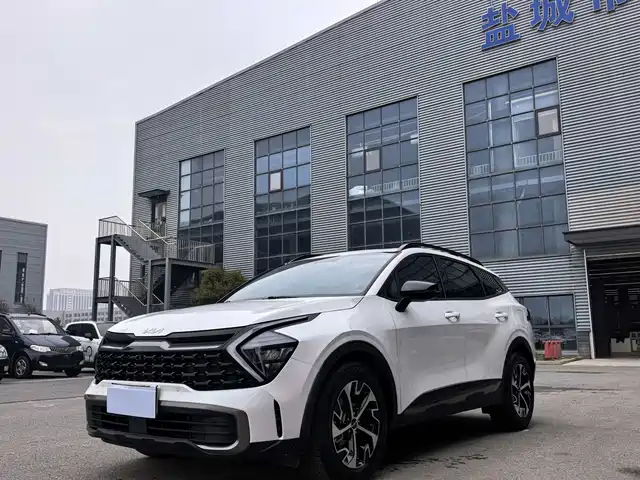 Kia Lion Platinum Expands the Boundary Lion Platinum Extension 2023 1.5t Two-Wheel Drive Premium Version — фото