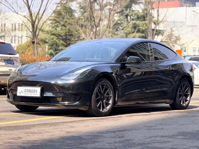 Tesla Model 3 Model 3 2022 Rear-Wheel Drive Version — фото