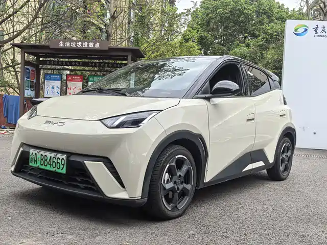 Byd Seagull Seagull 2024 Honor Edition 305km Free Edition — фото