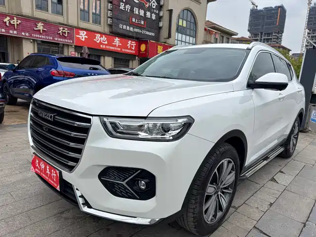 Harvard Haval H6 Haval H6 2020 1.5gdit Automatic Platinum Champion Edition — фото