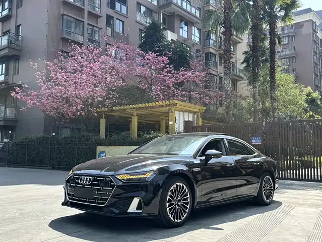 Audi Audi A7l Audi A7l 2024 45 Tfsi Luxury Model