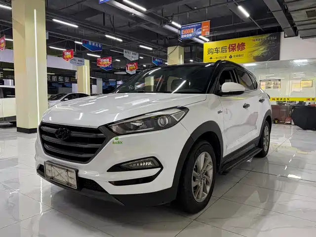 Hyundai Tucson Tucson 2018 1.6t Dual-Clutch Two-Wheel Drive 15th Anniversary Special Edition — фото