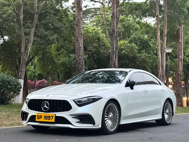 Mercedes-Benz Mercedes Benz Cls Mercedes-Benz Cls 2020 Cls 300 Dynamic — фото