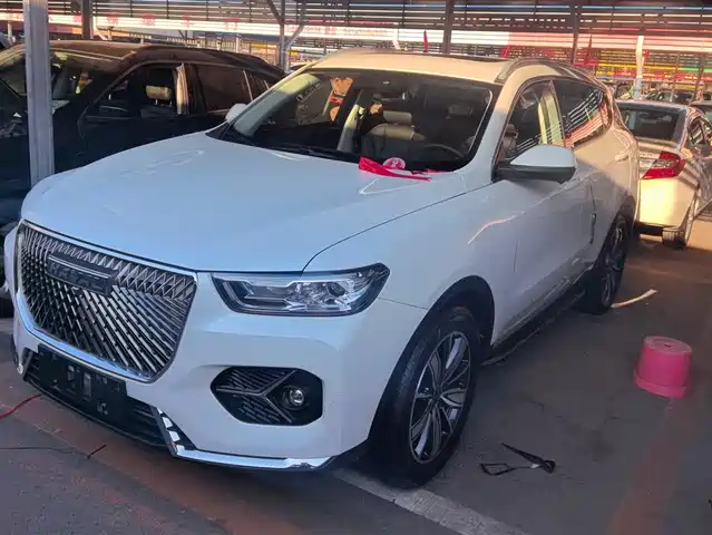 Harvard Haval H6 Haval H6 2021 1.5t Automatic Champion Edition — фото