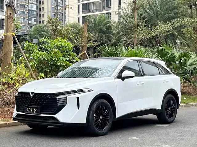 Qichen Venucia Big V Venucia Big V 2022 260t Dark Horse Edition·Idol — фото