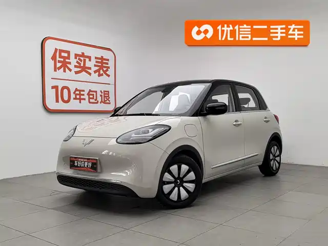 Wuling Motors Wuling Bingo Wuling Bingo 2023 Model 333km Lingxi Internet+ Model