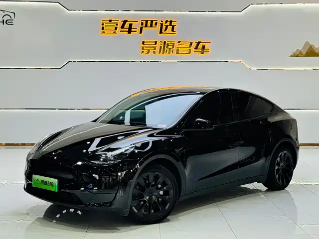 Tesla Model Y Model Y 2022 Rear-Wheel Drive Version — фото