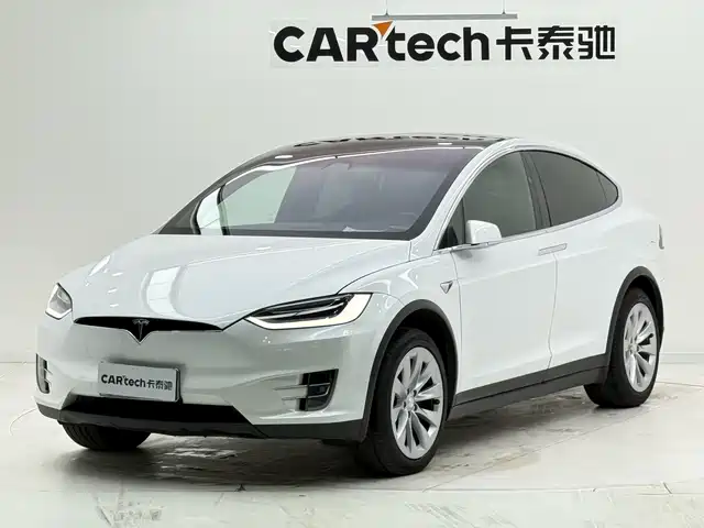Tesla Model X Model X 2019 Long Range Edition — фото