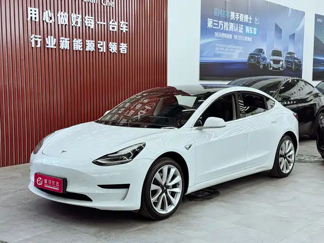 Tesla Model 3 Model 3 2019 Standard Range Rear Drive Upgraded Version — фото