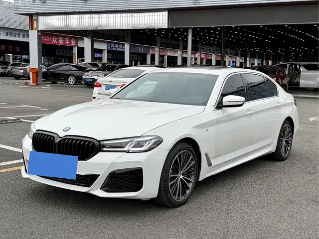 Bmw Bmw 5 Series Bmw 5 Series 2020 530li Leading Luxury Package
