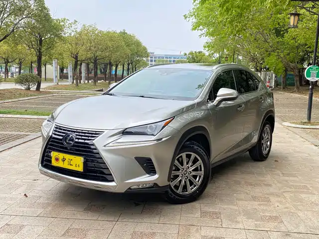 Lexus Lexus Nx Lexus Nx 2020 300h Front-Wheel Drive, Advanced Version, National V — фото