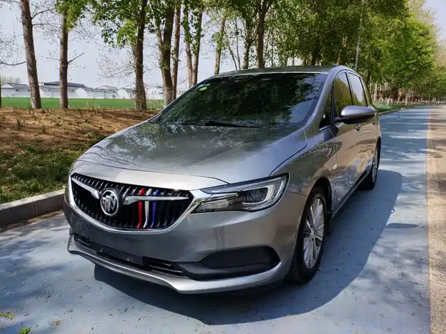 Buick Buick Gl6 Buick Gl6 2019 18t 6-Seater Connected Luxury Model National Vi — фото