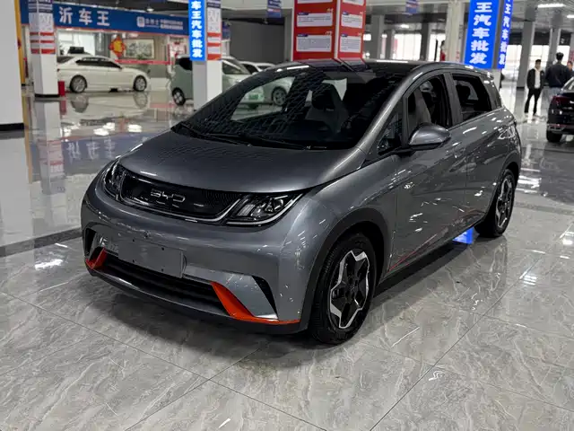 Byd Dolphin Dolphin 2021 405km Fashion Version — фото