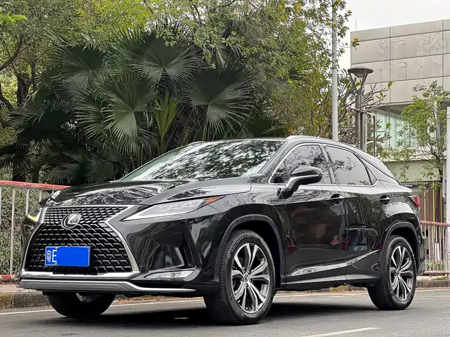 Lexus Lexusrx Lexus Rx 2020 300 Four-Wheel Drive Elegant Version National Vi — фото