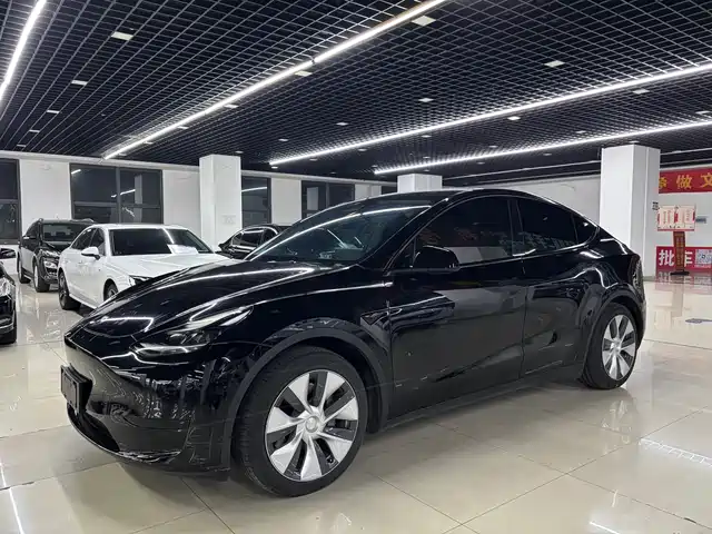 Tesla Model Y Model Y 2022 Rear-Wheel Drive Version — фото