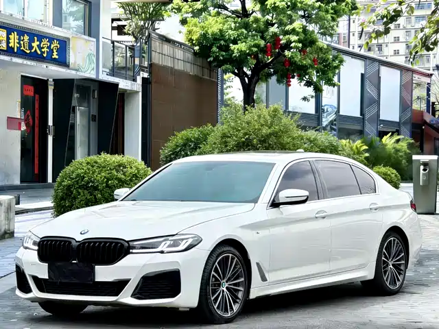 Bmw Bmw 5 Series Bmw 5 Series 2020 530li Xdrive M Sports Package — фото