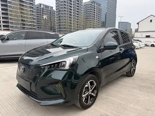 Chang'An Changan Benben E-Star Changan Benben E-Star 2022 Qingxin Edition Colorful Edition Lithium Iron Phosphate