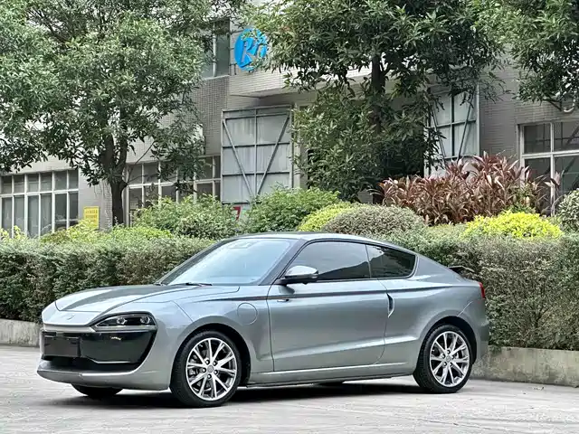Leap Car Leap Running S01 Leapmoo S01 2020 460 Pro — фото