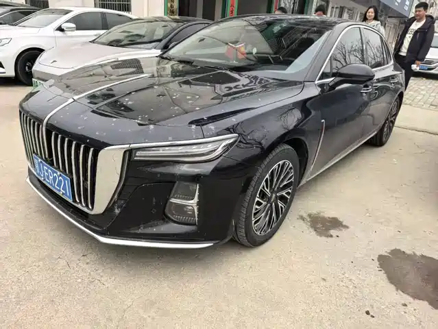 Red Flag Hongqi H5 Hongqi H5 2023 2.0t Automatic Zhilianqichang Edition — фото