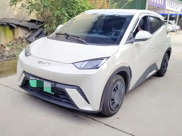 Byd Seagull Seagull 2024 Honor Edition 305km Vitality Edition