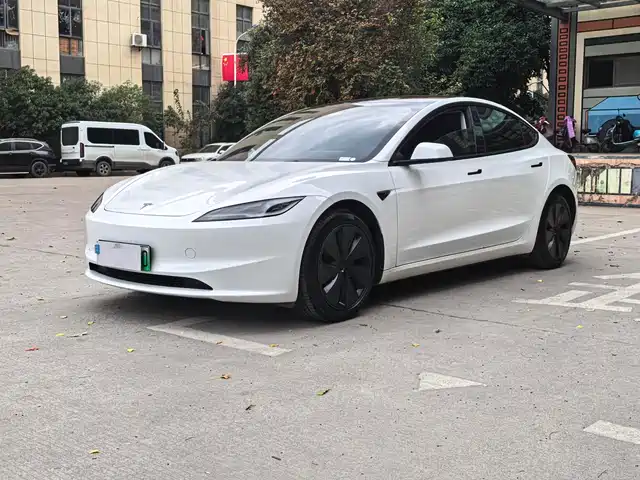 Tesla Model 3 Model 3 2023 Rear-Wheel Drive Version — фото