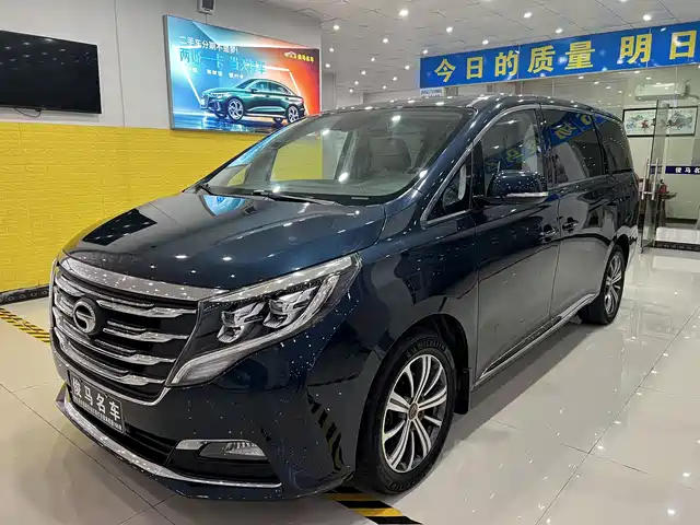 Gac Trumpchi Trumpchi M8 Trumpchi M8 2018 320t Premium Edition — фото