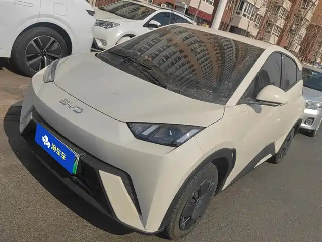 Byd Seagull Seagull 2024 Honor Edition 305km Vitality Edition