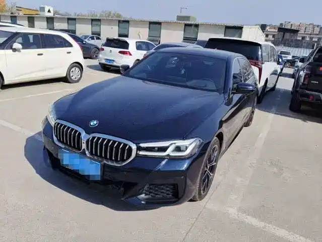 Bmw Bmw 5 Series Bmw 530li/2.0t/24 Models/Exclusive Luxury Package — фото