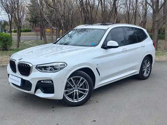 Bmw Bmw X3 Bmw X3 2018 Xdrive25i M Sports Package National Vi — фото
