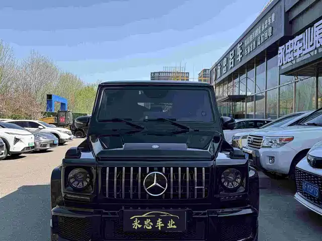 Mercedes-Benz Mercedes Benz G Class Mercedes-Benz G-Class 2010 G 500