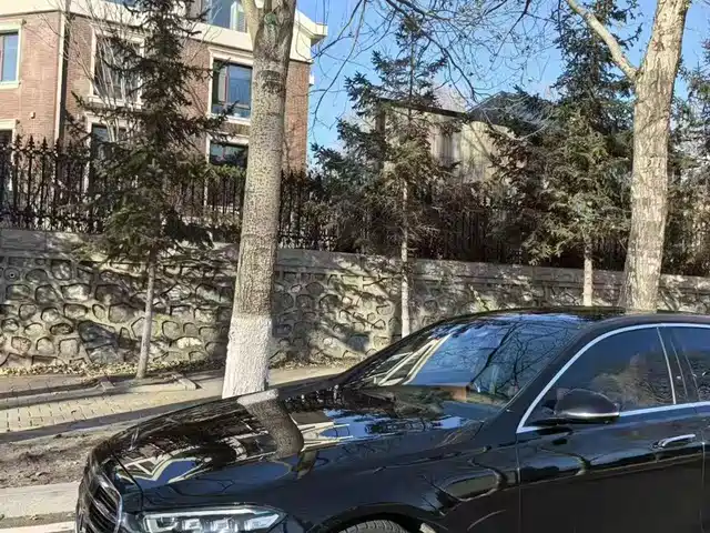 Mercedes-Benz Mercedes Benz S Class Mercedes-Benz S-Class 2022 S 450 L 4matic — фото
