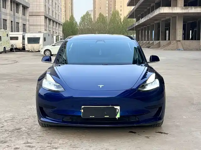 Tesla Model 3 Model 3 2020 Facelift Standard Range Rear-Wheel Drive Upgraded Version — фото
