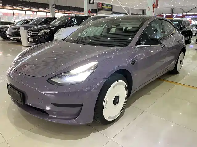 Tesla Model 3 (imported) Model 3 Imported 2019 Standard Range Rear Drive Upgraded Version — фото