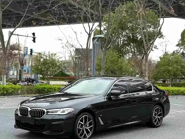 Bmw Bmw 5 Series Bmw 5 Series 2021 530li Exclusive M Sports Package — фото