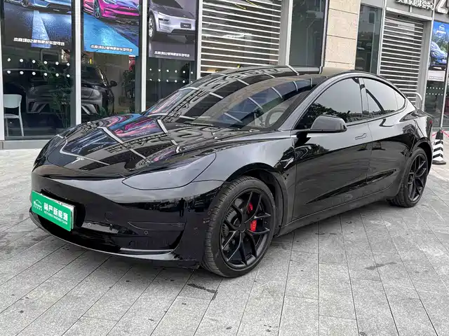 Tesla Model 3 Model 3 2021 Performance High-Performance All-Wheel Drive Version — фото