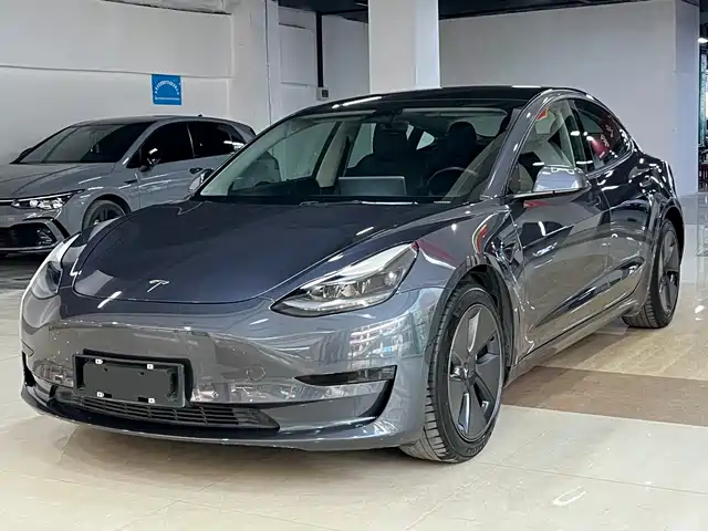 Tesla Model 3 Model 3 2021 Standard Range Rear Drive Upgraded Version 3d6 — фото